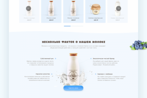 Разработка Landing Page