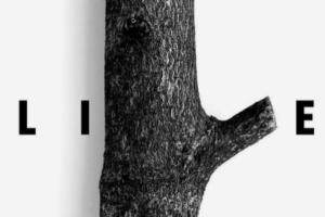 Веб разработка под Ваш бизнес