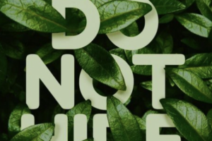 Веб разработка под Ваш бизнес