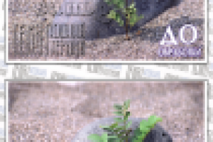 Простая цветокоррекция и лёгкая обработка после сканирования