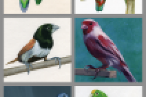 Книжные иллюстрации для издательства «Аркаим»