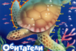 Дизайн и иллюстрация книжной обложки