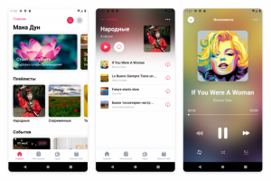Мобильное приложение