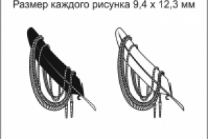 Перо и аксельбант