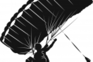 Отрисовка в векторе