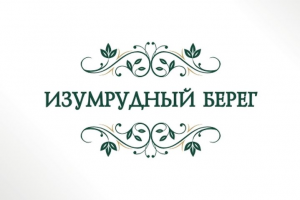 дизайн логотипа