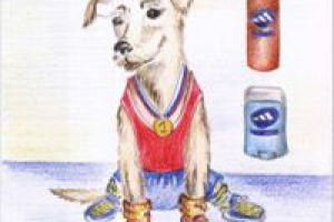 иллюстрации для календаря