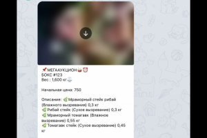 Разработка телеграм бота для аукциона