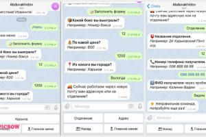 Телеграм бот для заполнения формы после аукциона