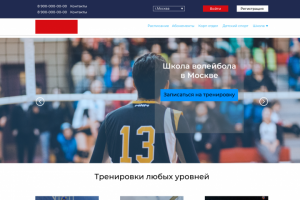 Воллебольная школа