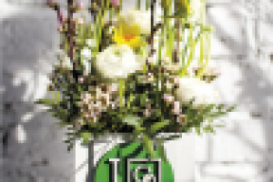 Две статьи: Топ-10 / Smart