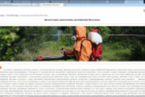 SEO текст для информационного портала: Дезинсекция, дератизация,
