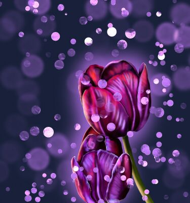 img4437095.png