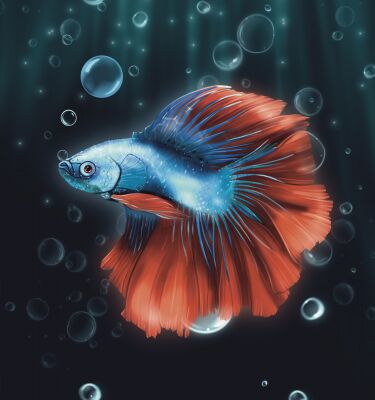img4431180.png