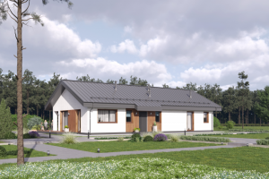 Коттедж для сайта