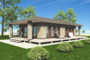 Визуализация частного дома 1