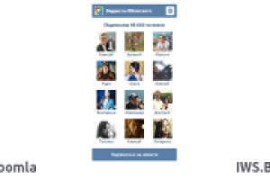 Пользователи сообщества VK v1.0