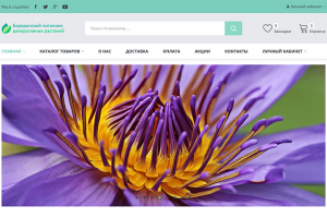 Бородинский питомник