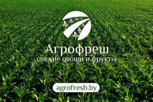 Новостной сайт для оптовой компании