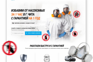 Лендинг по дезинфекции г. Чита