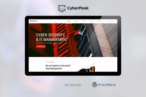 Установка премиум темы Synew