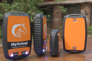 gps трекер для животных