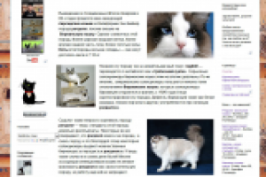 Рэгдолл: кукольная кошка