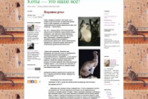 Корниш-рекс: бархатная зверушка