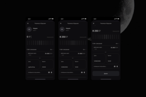 ui app banking
