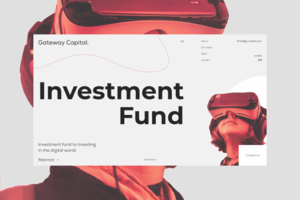 Investment Fund