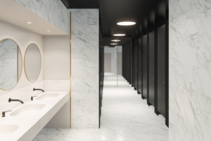 дизайн интерьера туалетной комнаты в театре