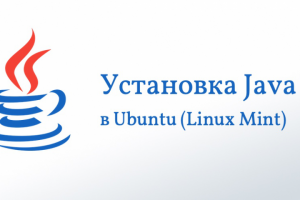 Помощь в установке JDK 8, Netbeans, PostgreSQL на Linux Mint
