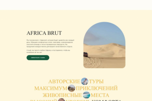 Разработка сайта Africabrut - Туры в Африку