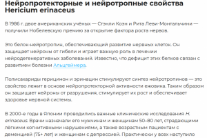 Лечебные свойства ежовика гребенчатого