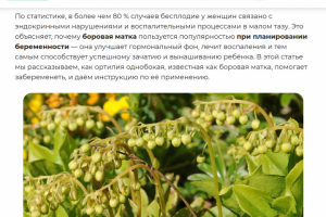 Боровая матка в лечении бесплодия у женщин