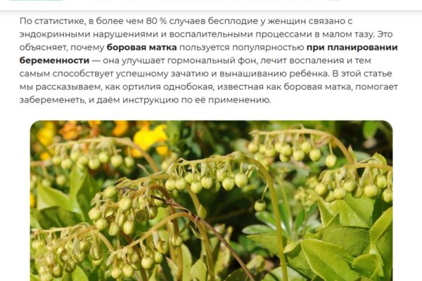 img4639237.png