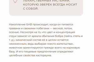 Химический состав бобровой струи