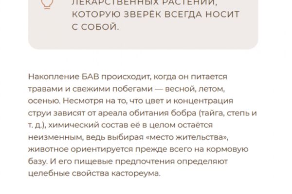 img4638263.png