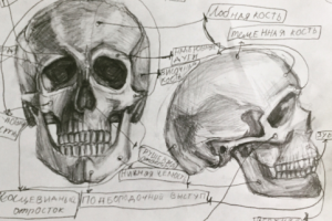 Работа 4087944