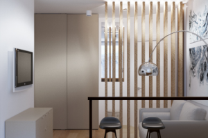 Кухня-гостиная