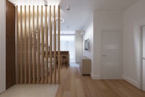 Кухня-гостиная