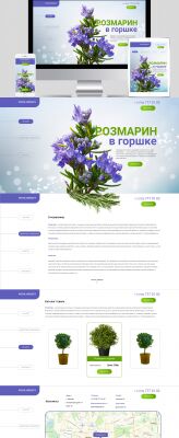 img3979932.png