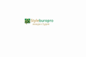 Логотип "styleburo.pro"