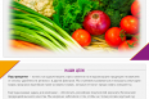 Презентация, компания "ЭКОВИСТ"