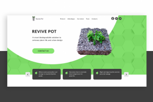 Лендинг для специального цементного грунта для растений