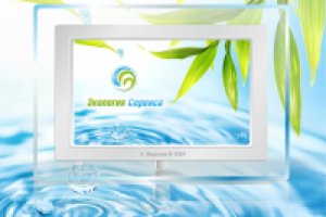 Экология Сервиса