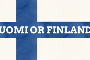 Финляндия - инструкция по применению