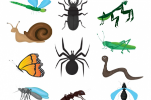 Паттерн насекомые