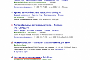 Купить автомобильный чехол