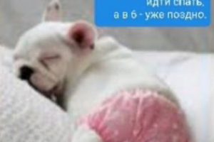 Текст для сайта о здоровом образе жизни